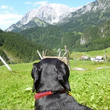 Gscheidegger Huette Appartamento