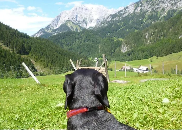 Gscheidegger Huette 公寓